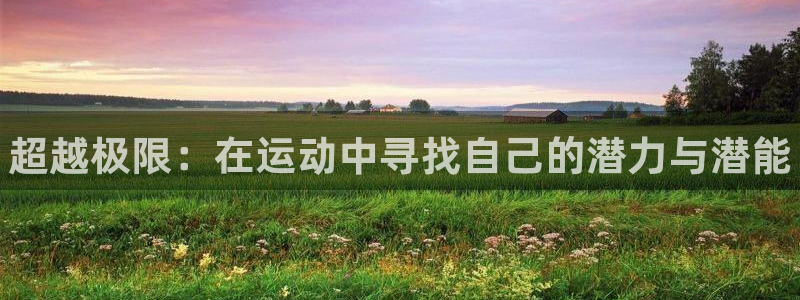 米兰体育官方正版app新能源：超越极限：在运动中寻找