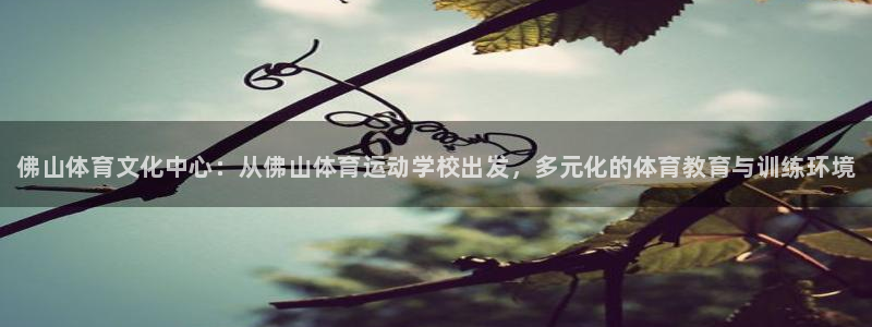 米兰体育官网下载软件
