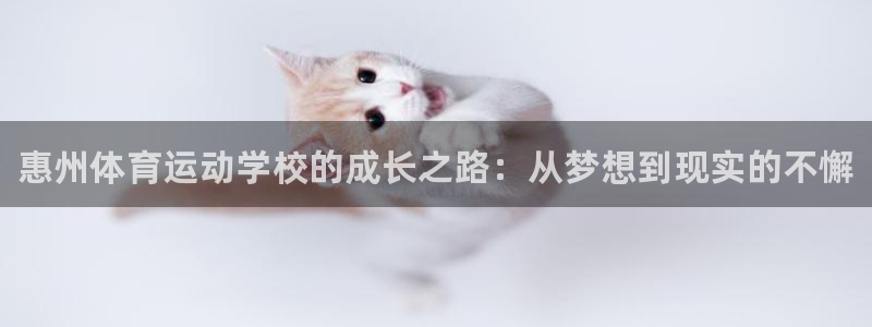 米兰体育官方正版app娱乐代理怎么样