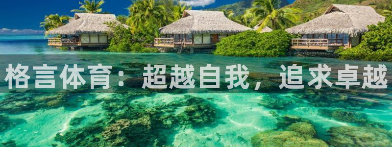 米兰体育官方正版app集团官网首页：格言体育：超越自我，追求