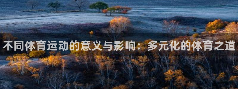 米兰体育官方正版app集团简介：不同体育运动的意义与影响：多