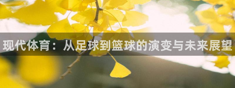 米兰体育官网下载招商电话号码是多少啊：现代体育：从足球到篮球