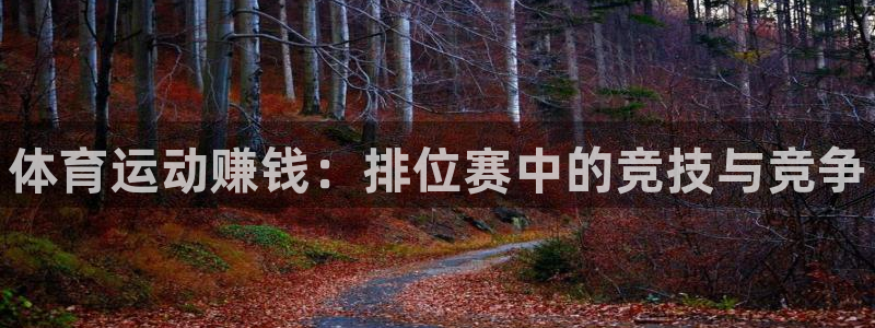 米兰体育官网下载招商电话号码是多少号：体育运动赚钱：