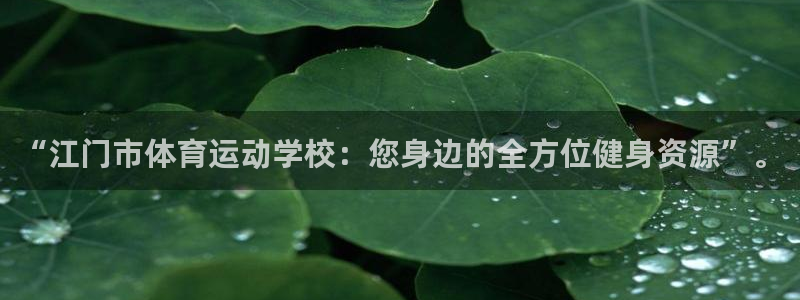 米兰体育官网下载是干嘛的公司