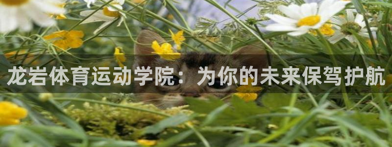 海南米兰体育官网下载：龙岩体育运动学院：为你的未来保驾护航
