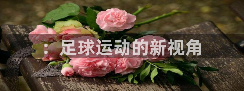 米兰体育官网下载平台注册要钱吗：：足球运动的新视角