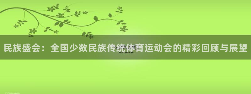 米兰体育官方正版app科技：民族盛会：全国少数民族传