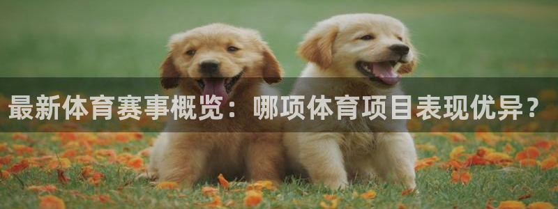 米兰体育官方正版app集团简介：最新体育赛事概览：哪项体育项