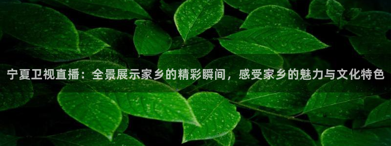 178直播比赛在线观看龙门：宁夏卫视直播：全景展示家乡的精彩瞬间，感受家乡的魅力与文化特色