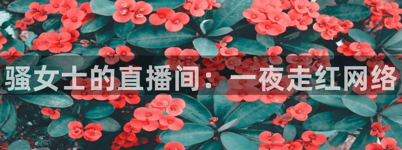 nba龙门直播：骚女士的直播间：一夜走红网络
