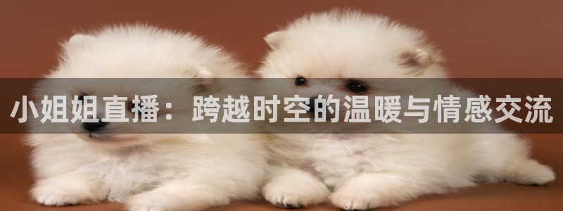 龙门直播app：小姐姐直播：跨越时空的温暖与情感交流
