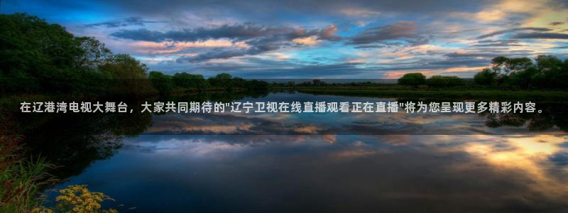 龙门飞甲播放：在辽港湾电视大舞台，大家共同期待的\