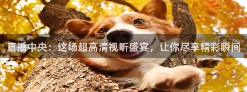 龙门直播app足球直播下载：直播中央：这场超高清视听盛宴，让你尽享精彩瞬间