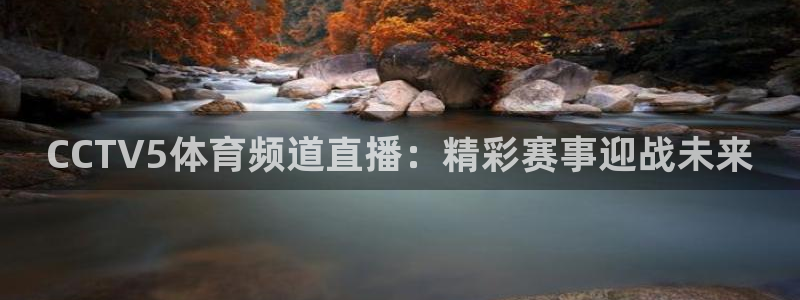 龙门直播app足球直播下载：CCTV5体育频道直播：精彩赛事迎战未来