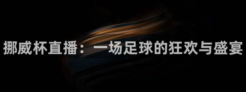 龙门飞甲播放：挪威杯直播：一场足球的狂欢与盛宴