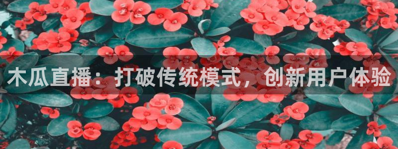 龙门直播免费下载入口：木瓜直播：打破传统模式，创新用户体验